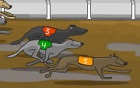Köpek Yarışı