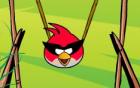 Angry Birds Yumurta Topla