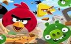 Angry Birds ve Yeşil Domuz