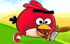 Angry Birds Koşu